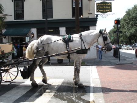 This is how the streets of Savannah get cleaned...
